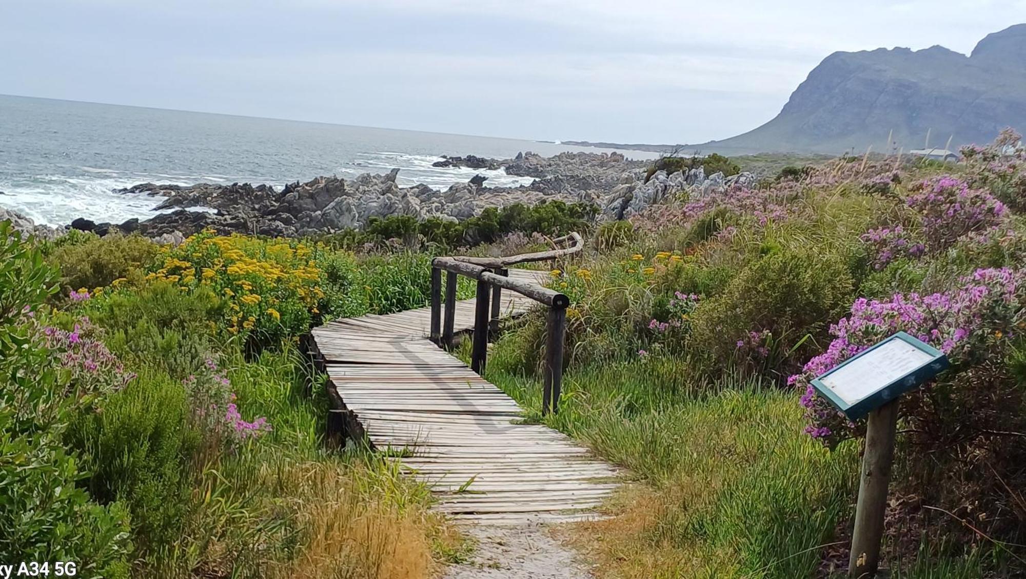 Kleinmond Panorama Holidays Exterior photo